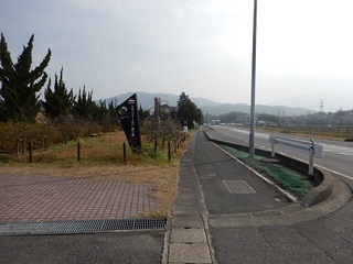 01.JPG