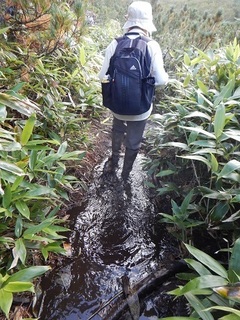 08rausukoenomiti.jpg