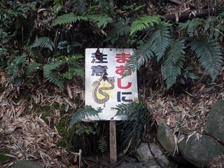 12mamusihaok.jpg