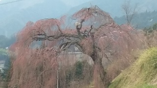 20160402_150600.jpg