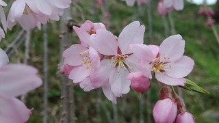 20160402_150812.jpg