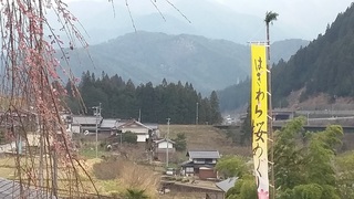 20160402_151117.jpg