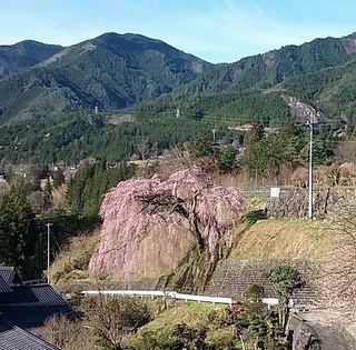 20160405iwataro.jpg