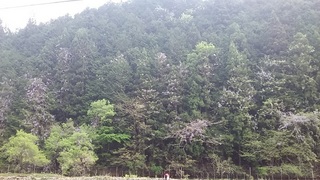 20160502_055224.jpg