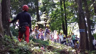 20160805_112204.jpg