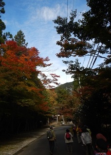 20161110大矢田.jpg