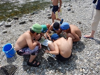 DSCN0978.JPG