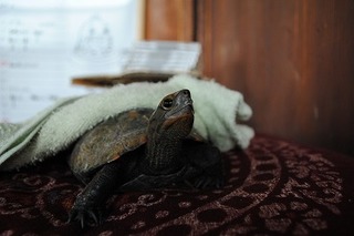DSC_1322.jpg