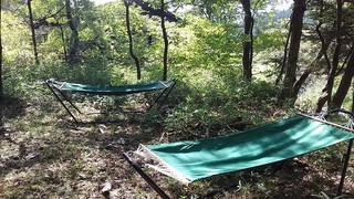ハンモック20161007.jpg