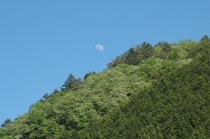 吐月峰fromくらちゅー.jpg