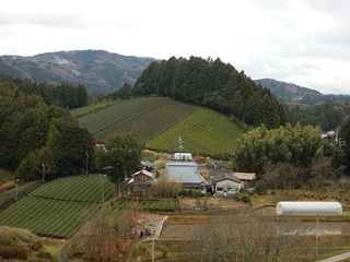 奈良・田原の風景.jpg