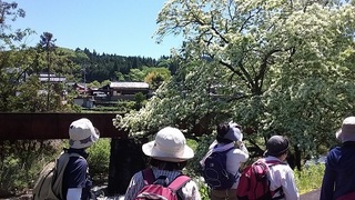 鉄橋.jpg