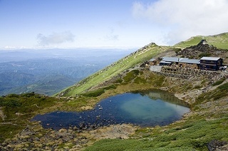 _MG_8806.jpg
