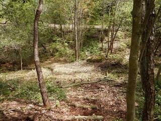 after.jpg