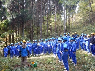 hatikaityu.jpg