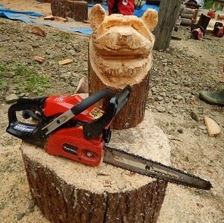 kuma.jpg