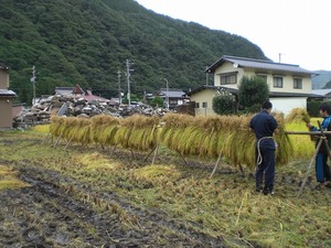 CIMG5399.jpg