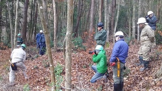 sirakawa20151206.jpg