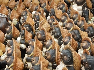 tanuki!.jpg
